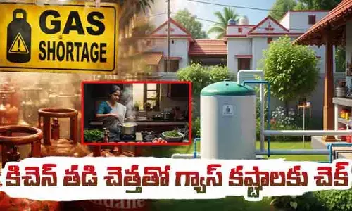 గ్యాస్ సంక్షోభానికి కిచెన్ తడి చెత్తతో చెక్