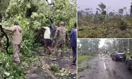 ప్రత్తిపాడులో పెనుగాలుల బీభత్సం: రోడ్లపై విరిగిపడ్డ భారీ వృక్షాలు