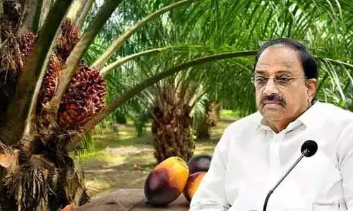 నర్మేట్ట పామాయిల్ ఫ్యాక్టరీ రైతులకు అంకితం: మంత్రి తుమ్మల