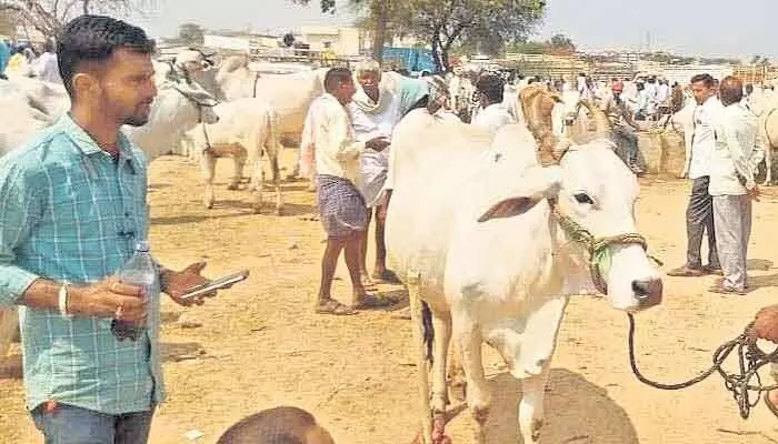 కొండపల్లేపల్లి సంత బహిరంగ వేలం కొండపల్లేపల్లి సంత బహిరంగ వేలం