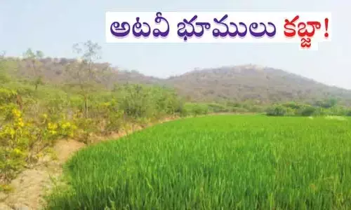 ఆలగడప, గూడూరులో భూదందా.. అధికారుల మౌనం వెనుక మర్మమేమిటి?