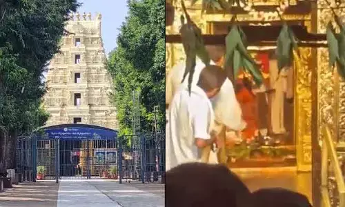 శ్రీశైల గర్భాలయంలో వీడియో కలకలం.. అధికారులపై వేటు.. భక్తుడిపై కేసు