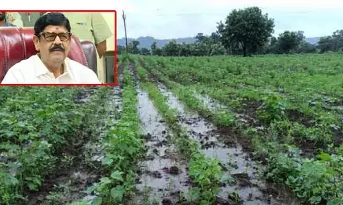 జిల్లాలో మంత్రి ఆనం పర్యటన.. బోరున ఏడ్చిన రైతులు