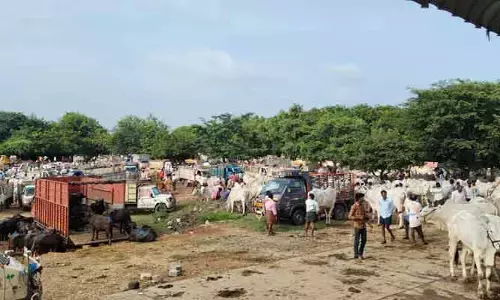 కొండ మడుగు సంత టెండర్ లో కాంట్రాక్టర్లు కుమ్మక్కు