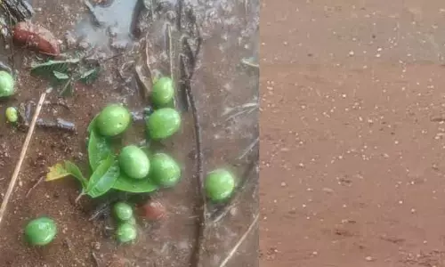 ఉడిత్యాల‌లో వ‌డ‌గ‌ళ్ల వాన బీభ‌త్సం