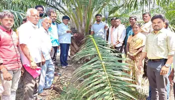 తొలి పంట రైతు ఇంట సిరుల పంట తొలి పంట రైతు ఇంట సిరుల పంట