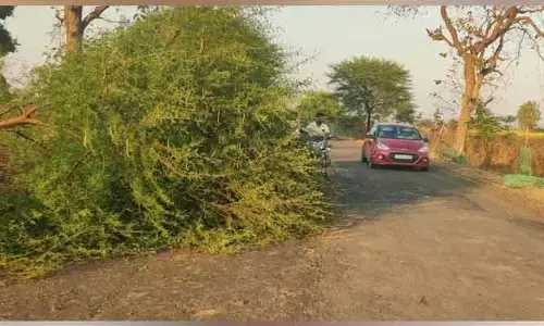ఈదురు గాలుల ప్రభావం.. నేలకూలిన భారీ వృక్షాలు