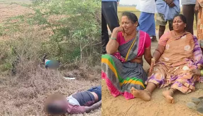 జిల్లాలో జంటహత్యల కలకలం.. పక్కా ప్లాన్తో అటాక్ ? జిల్లాలో జంటహత్యల కలకలం.. పక్కా ప్లాన్తో అటాక్ ?