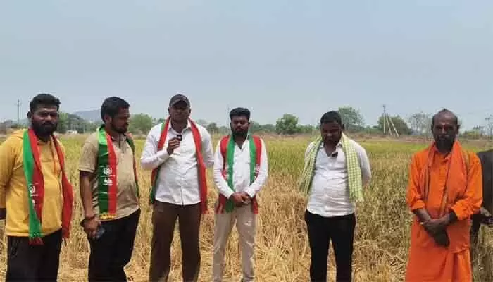 ఎండిపోయిన పంటలకు వెంటనే నష్టపరిహారం అందించి రైతులను ఆదుకోవాలి ఎండిపోయిన పంటలకు వెంటనే నష్టపరిహారం అందించి రైతులను ఆదుకోవాలి