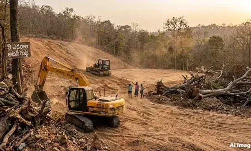 పచ్చని అడవిపై కబ్జా కోరలు: రంగురాళ్లబోడులో చెట్లు నరికి.. భూమి చదును!