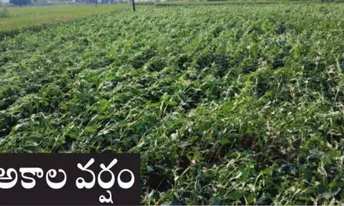 ప్రకృతి కోపంతో అకాల వర్షం.. అన్నదాతకు తీవ్ర నష్టం