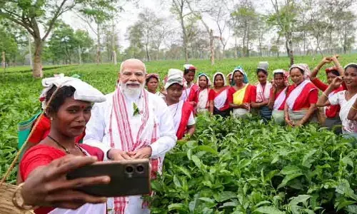 అస్సాం ఆత్మ తేయాకు.. దిబ్రుఘర్ తోటల్లో మహిళా కార్మికులతో ప్రధాని మోదీ సందడి!