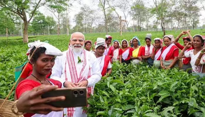 అస్సాం ఆత్మ తేయాకు.. దిబ్రుఘర్ తోటల్లో మహిళా కార్మికులతో ప్రధాని మోదీ సందడి! అస్సాం ఆత్మ తేయాకు.. దిబ్రుఘర్ తోటల్లో మహిళా కార్మికులతో ప్రధాని మోదీ సందడి!