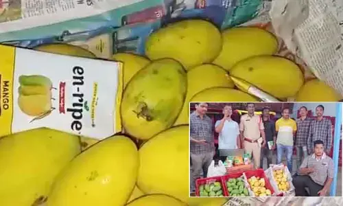 పైన పండు.. లోపల పచ్చి కాయ! ‘కెమికల్’ మాయాజాలం గుట్టు రట్టు