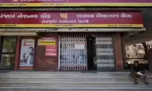 PNB: పీఎన్‌బీలో భారీగా సీనియర్ల బదిలీ