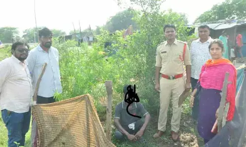 గంజాయి మొక్కలు పెంచుతున్న వ్యక్తి అరెస్టు