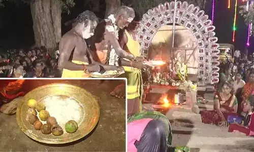9 నిమ్మకాయలు @ రూ.1.40 లక్షలు