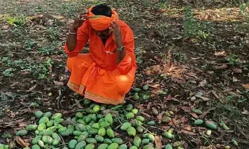 మామిడికి వ‌డ‌గండ్ల దెబ్బ