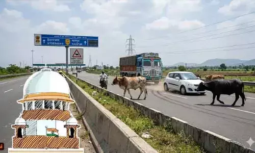 Supreme Court: హైవేలపై పశువుల సంచారం.. సుప్రీంకోర్టు తీవ్ర ఆగ్రహం
