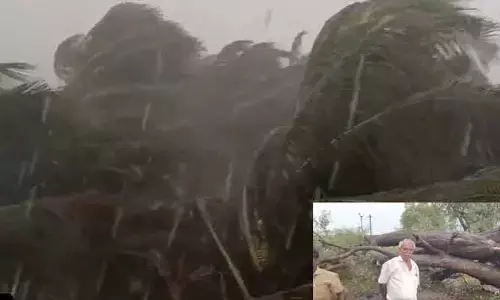 తిరుపతి జిల్లాలో భారీ వర్షం.. రోడ్డుపై అడ్డంగా పడిన భారీ వృక్షం