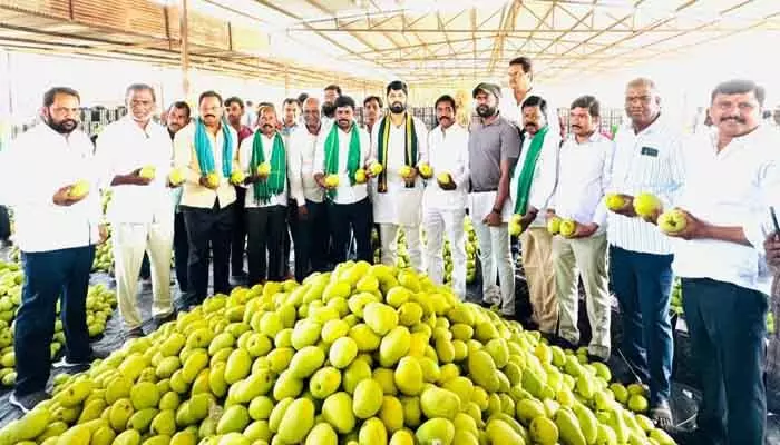 మామిడి సీజన్ లో రైతులను ఇబ్బందులకు గురిచేస్తే కఠిన చర్యలు తప్పవు మామిడి సీజన్ లో రైతులను ఇబ్బందులకు గురిచేస్తే కఠిన చర్యలు తప్పవు
