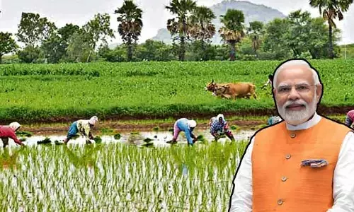 రైతులకు కేంద్రం తీపి కబురు..  సబ్సిడీకి  మోడీ సర్కార్ గ్రీన్ సిగ్నల్