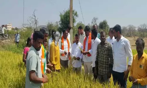 వ‌డ‌గ‌ళ్ల వాన బీభ‌త్సం.. రైత‌న్న‌ల‌కు తీవ్ర న‌ష్టం