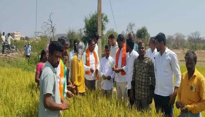 వడగళ్ల వాన బీభత్సం.. రైతన్నలకు తీవ్ర నష్టం వడగళ్ల వాన బీభత్సం.. రైతన్నలకు తీవ్ర నష్టం