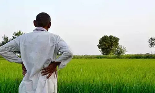 కౌలు రైతుకు గుర్తింపు కరువు.. హక్కుల కోసం ఉద్యమబాట!