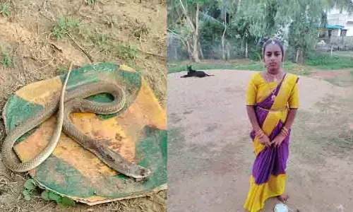 తీవ్ర విషాదం.. పుట్టినరోజునే పాముకాటుతో బాలిక మృతి
