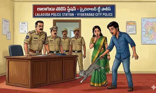 పోలీస్ స్టేషన్‌లో పిల్లి పంచాయితీ.. దొంగను కొరికి పారిపోయిన క్యాట్