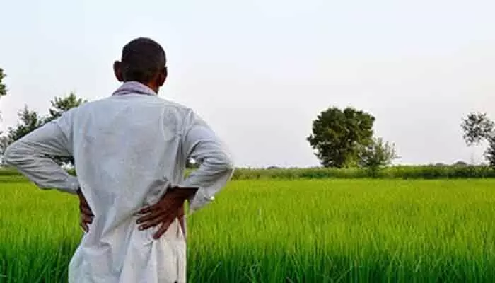 కౌలు రైతుకు గుర్తింపు కరువు.. హక్కుల కోసం ఉద్యమబాట! కౌలు రైతుకు గుర్తింపు కరువు.. హక్కుల కోసం ఉద్యమబాట!