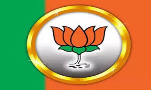 బీజేపీలో ఎన్నికల నిధుల గోల్ మాల్