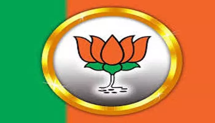 బీజేపీలో ఎన్నికల నిధుల గోల్ మాల్ బీజేపీలో ఎన్నికల నిధుల గోల్ మాల్