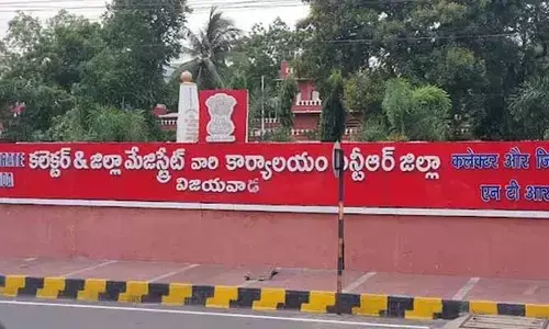 ఉద్యోగులపై కారంచల్లిన వృద్ధురాలు.. విజయవాడ కలెక్టరేట్లో కలకలం