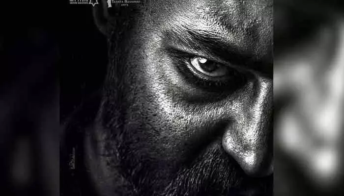 NTRNeel: యాక్షన్ సీన్స్తో కొత్త షెడ్యూల్ స్టార్ట్.. ఎన్టీఆర్ బర్త్డేకు ఫ్యాన్స్కు బిగ్ ట్రీట్! NTRNeel: యాక్షన్ సీన్స్తో కొత్త షెడ్యూల్ స్టార్ట్.. ఎన్టీఆర్ బర్త్డేకు ఫ్యాన్స్కు బిగ్ ట్రీట్!