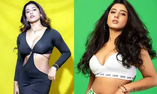 విష్ణు ప్రియకు కలిసొచ్చిన కేసు.. సబ్‌స్క్రిప్షన్ ద్వారా లక్షల్లో పెరిగిన రాబడి.. షాక్‌లో నెటిజన్లు