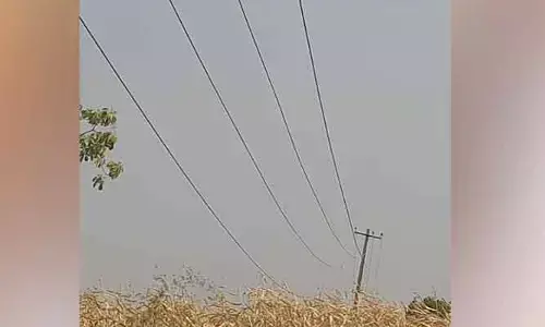 పంటను అంటుకున్న విద్యుత్ తీగలు..!