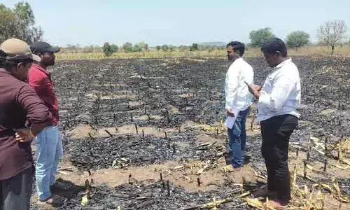 కాలి బూడిదైన పంట..  రైతన్నకు మిగిల్చిన కన్నీళ్లు!