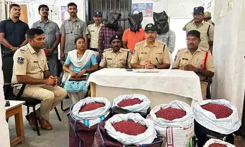 నకిలీ పత్తి విత్తనాలు పట్టివేత