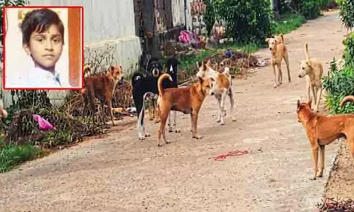 తంగళ్లపల్లిలో వీధి కుక్కల స్వైర విహారం : అధికారుల నిర్లక్ష్యానికి బాలుడు బలి