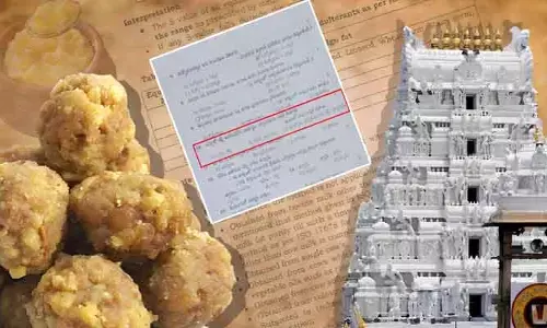 VIRAL: తిరుమల లడ్డూ నాణ్యతపై ఎగ్జామ్‌లో ప్రశ్న.. షాకైన విద్యార్థులు, విపక్షాల ఆగ్రహం