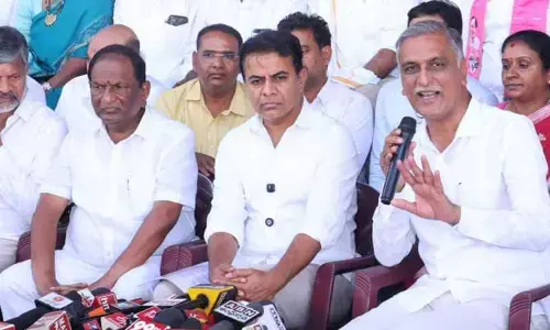 అది హైబ్రిడ్ కాదు క్రాస్ బ్రీడ్ సిద్ధాంతం.. రేవంత్ రెడ్డి ప్రతిపాదనపై హరీశ్ రావు సెటైర్లు