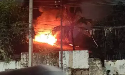 బయో ఎనర్జీ ప్లాంట్‌లో అగ్నిప్రమాదం: తృటిలో తప్పిన పెను ప్రమాదం