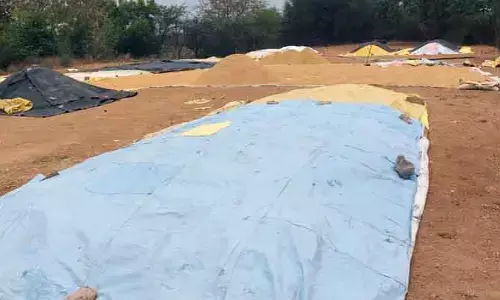 కోతలు మొదలైన.. కొనుగోలు కేంద్రాల జాడేలేదు