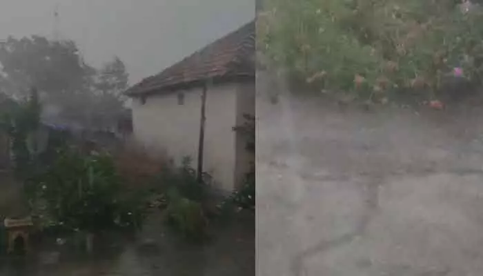 కామారెడ్డిలో జోరువాన కామారెడ్డిలో జోరువాన