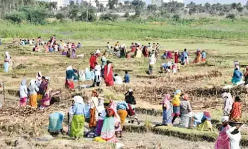 ఉపాధి హామీ వేతనదారులకు గుడ్ న్యూస్.. రూ.1805 కోట్లు విడుదల