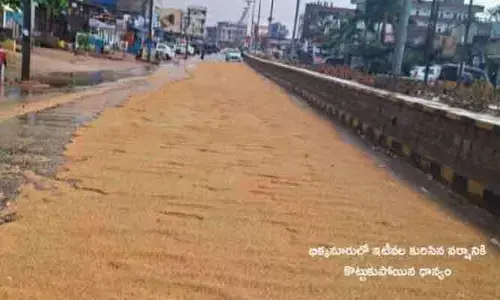 భిక్కనూరులో ప్రకృతి పగ.. వడగండ్ల వానకు 820 ఎకరాల్లో పంట నష్టం