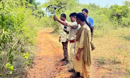 దేవీపట్నం మండలంలో మళ్లీ పులి సంచారం