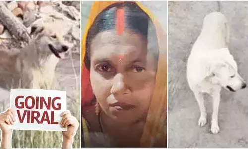 అన్నం పెట్టిన చేతిని మరువని మూగ జీవాలు.. మహిళ హత్య గుట్టు రట్టు